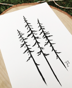 Wild Pines 4x6 Art Print